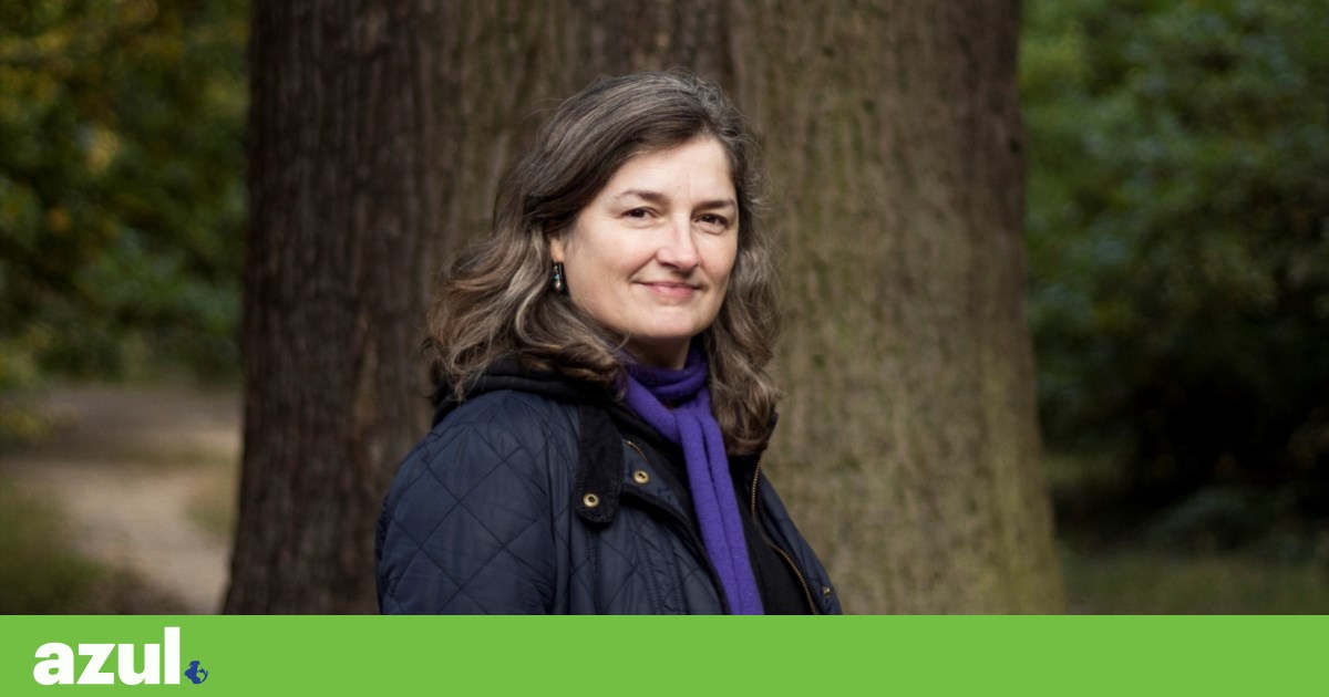 Vanessa Taylor: “Os rios nunca são neutros, são canais de poder tanto quanto de água”