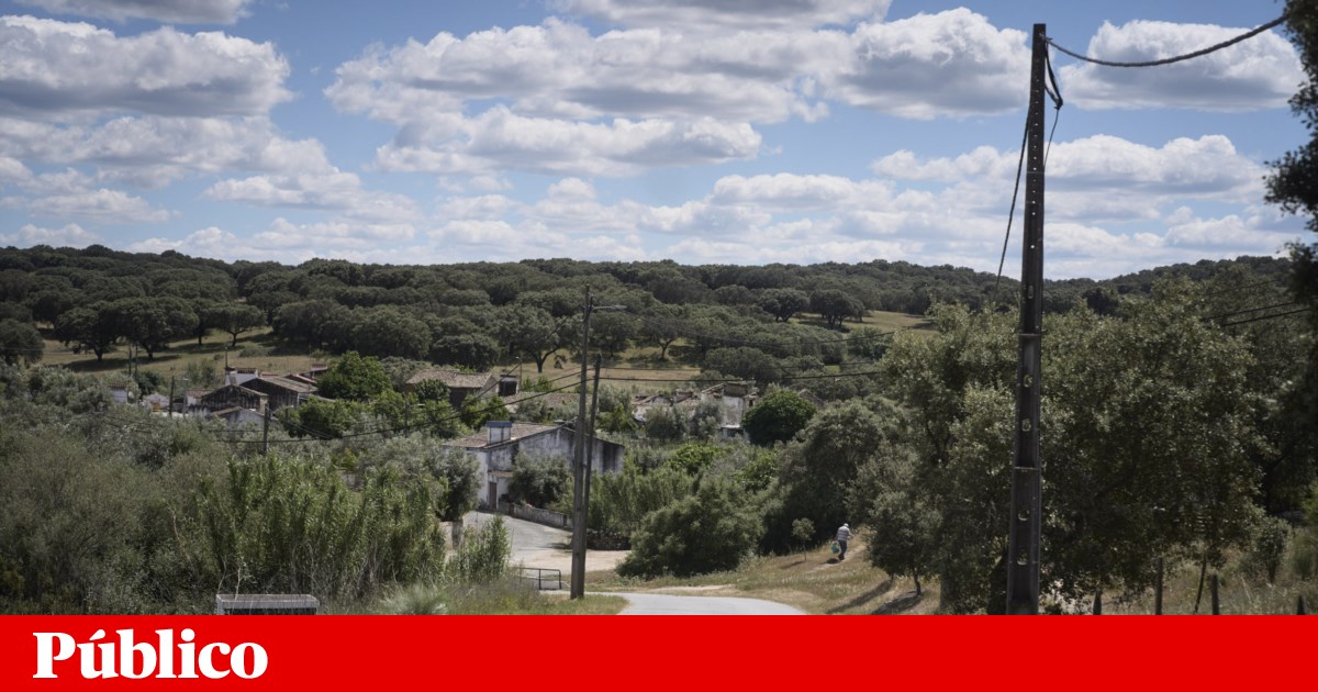 Há décadas à espera de ficar submersa, a aldeia do Pisão já anseia pela mudança. “É desta!”