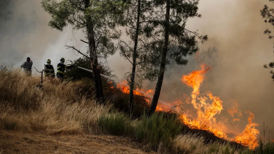 Alentejo Litoral conta com 216 operacionais na fase mais crítica