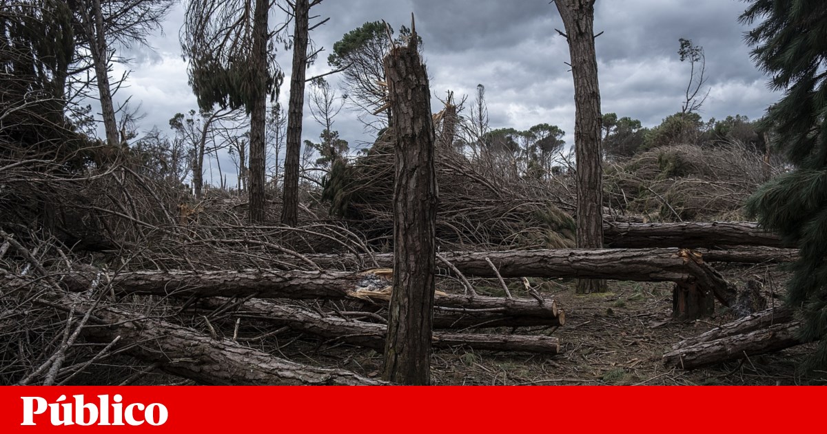 CinemaCity Leiria reabre a 21 de Maio após mais de três meses fechado