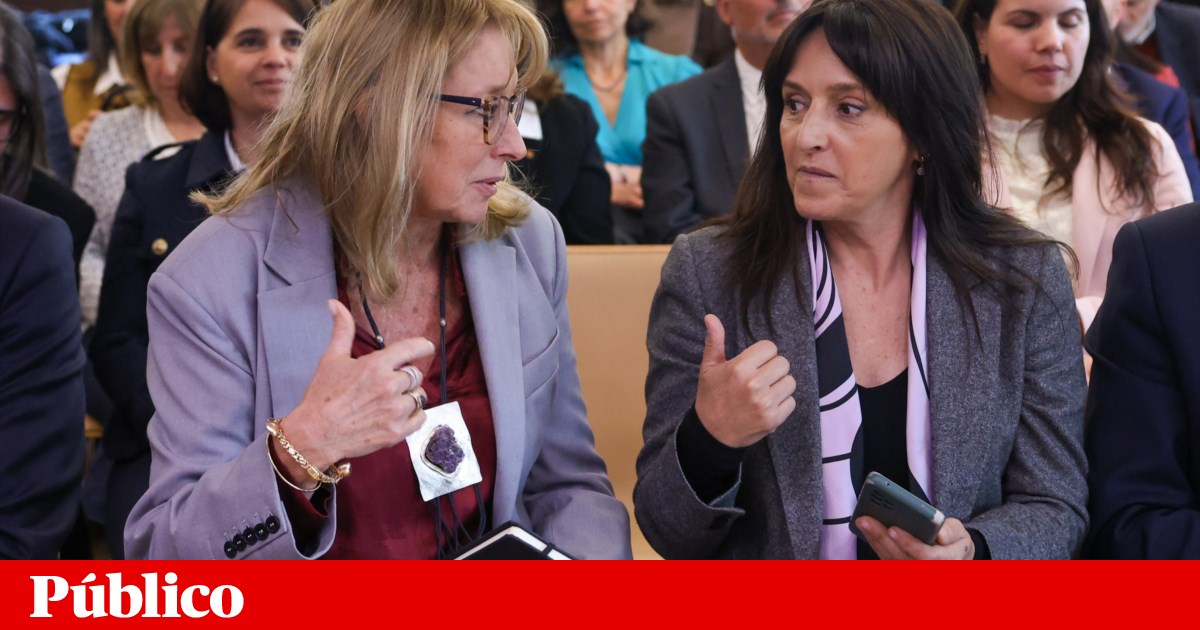 Sad+Saúde: projecto-piloto de apoio domiciliário para pessoas em situação de dependência vai avançar