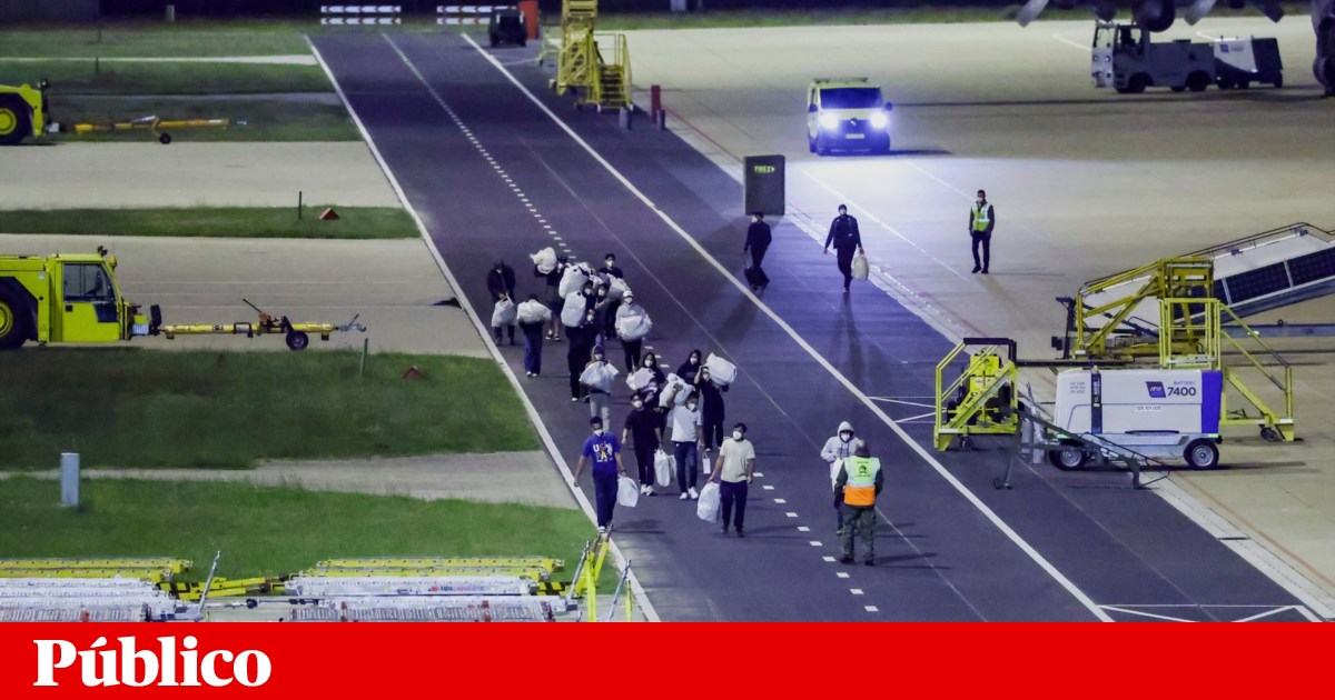 Hantavírus: DGS publica orientações para casos suspeitos e descarta medidas preventivas