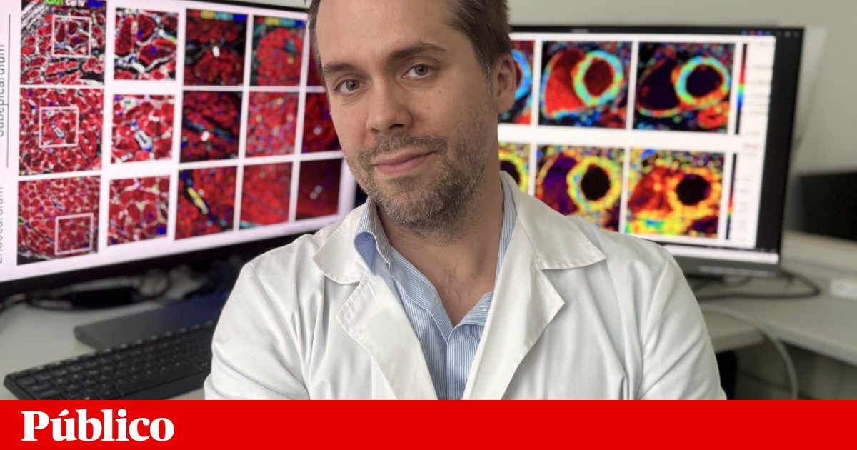 Jovens médicos recebem 75 mil euros para investigar ciências fundamentais em saúde