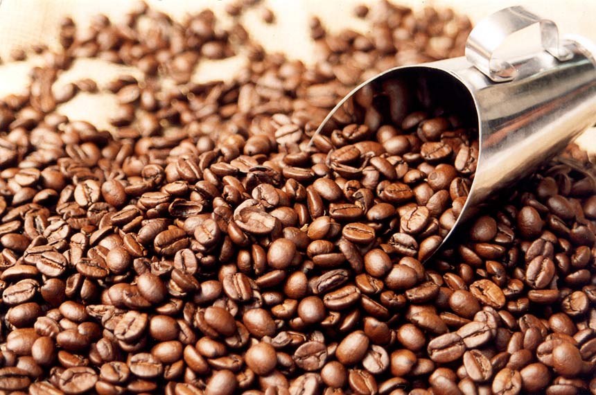 Café da Gorongosa recebe pontuação notável