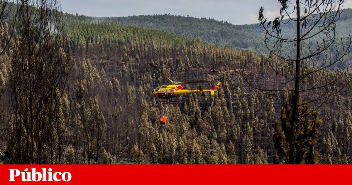 Novas buscas no negócio de aluguer de aviões para fogos incluem casa do cunhado de Leitão Amaro