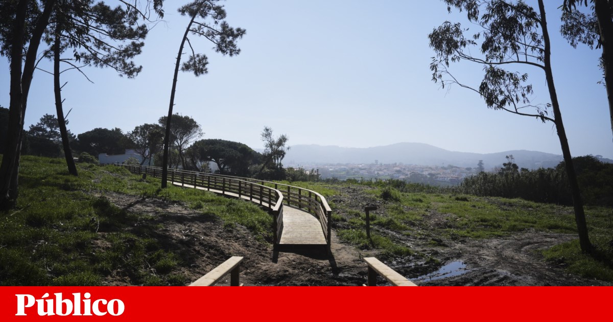 Autarquia de Sintra aprova adesão à co-gestão do parque natural