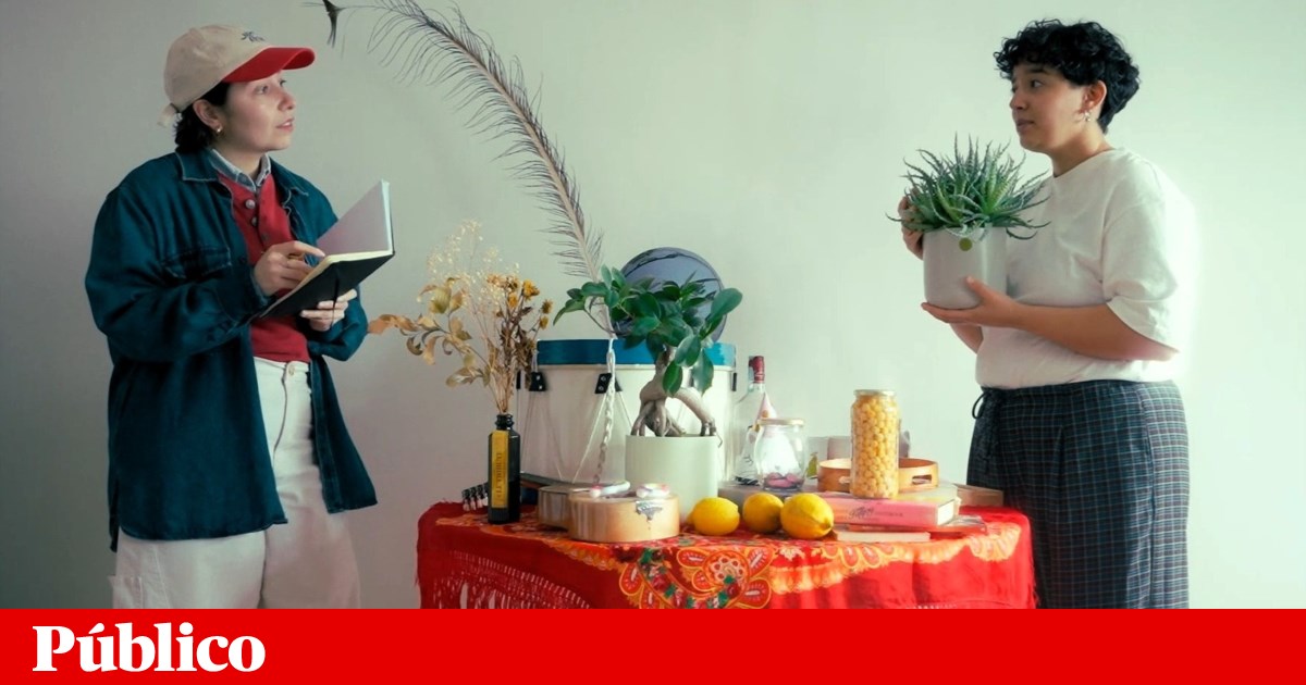 Depois de cantar com todos os <i>poros</i>, MALVA estreia <i>antes de mais</i> com Beatriz Madruga