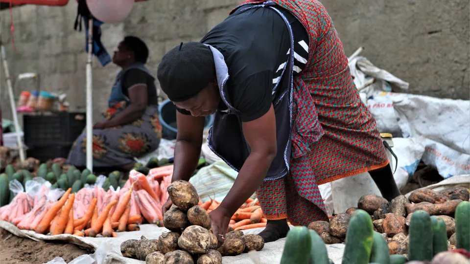Moçambique projeta mais de 21 milhões de toneladas de alimentos