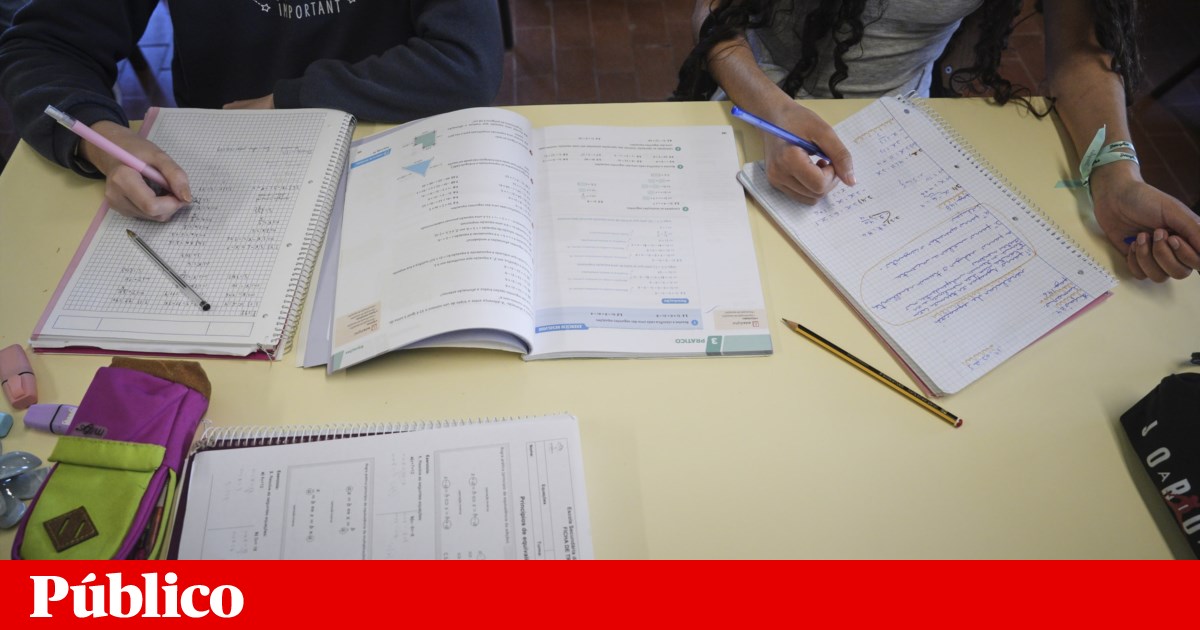 Professores que testaram novas aprendizagens essenciais dizem que pouco muda no dia-a-dia