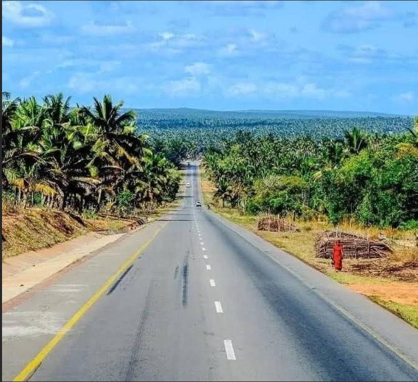 Criação da Autoridade Nacional de Estradas não colhe consensos