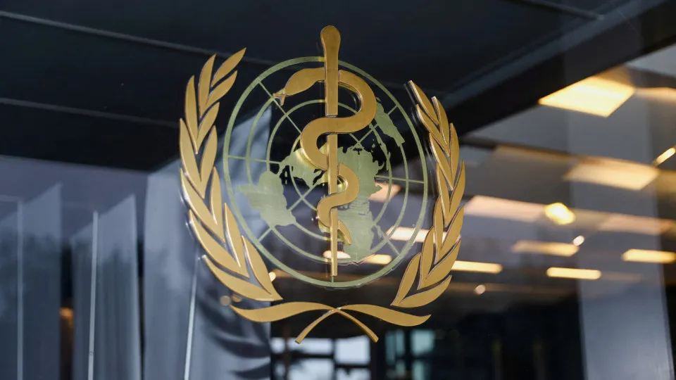 Risco de hantavírus a nível global "continua a ser baixo", diz OMS