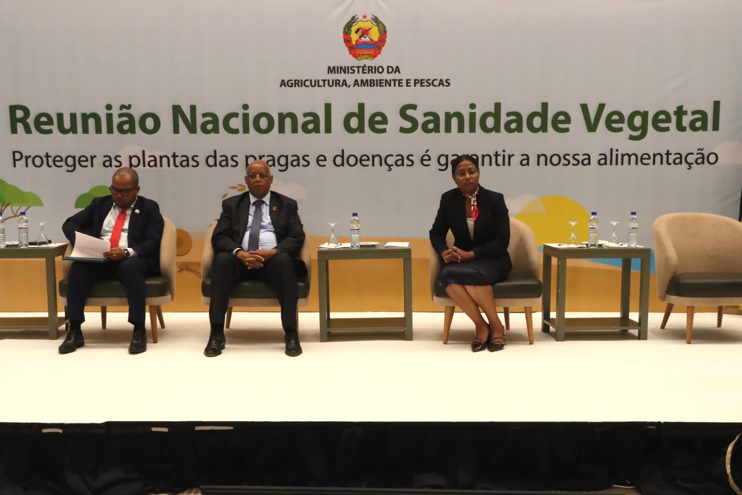 Pragas afectam sanidade vegetal no país