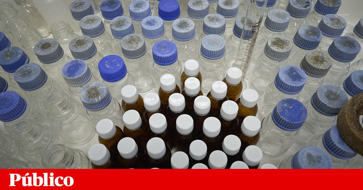 Farmacêuticas demoraram nove meses a submeter medicamentos e Infarmed 11 a decidir
