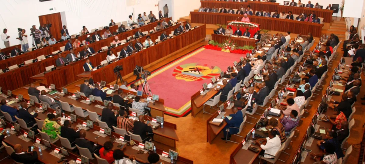 Simplified legislative procedure and its implications for democracy