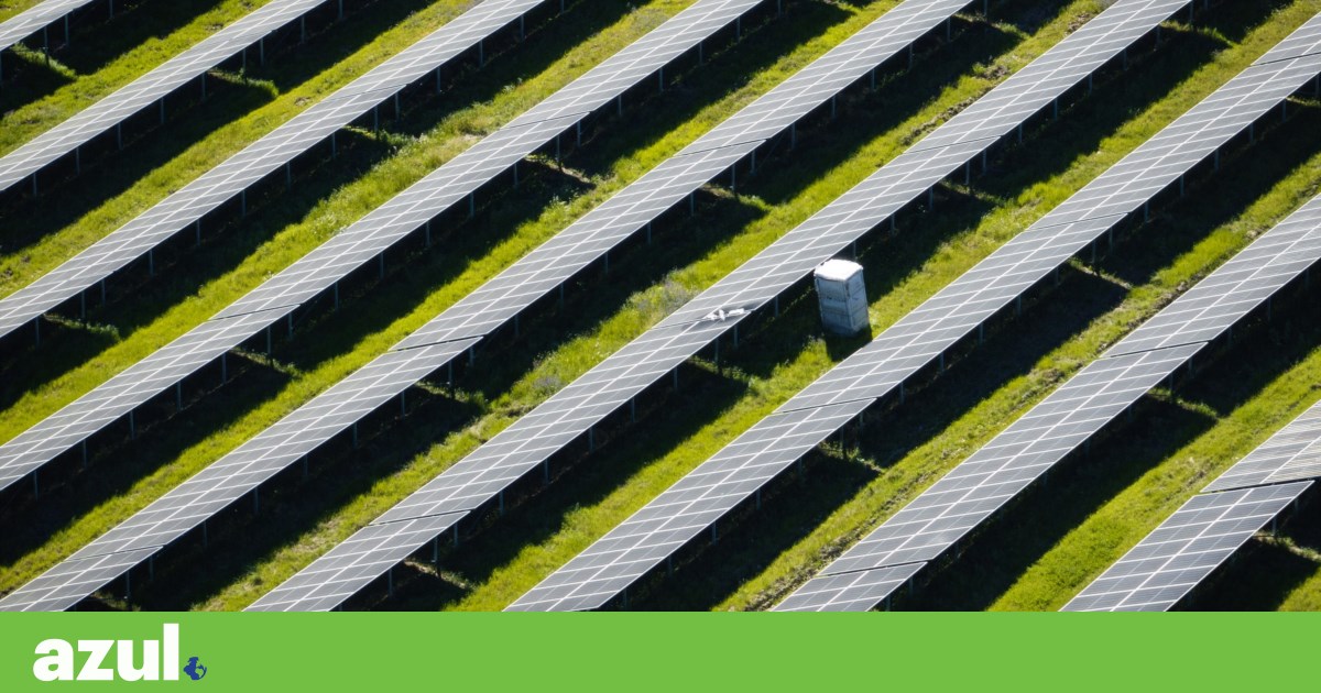 Relatórios da APA sobre megacentrais solares identificam “impactos irreversíveis” na Beira Baixa