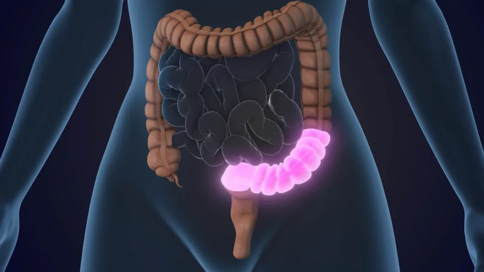 4 regras (obrigatórias) para proteger o intestino ao tomar antibióticos