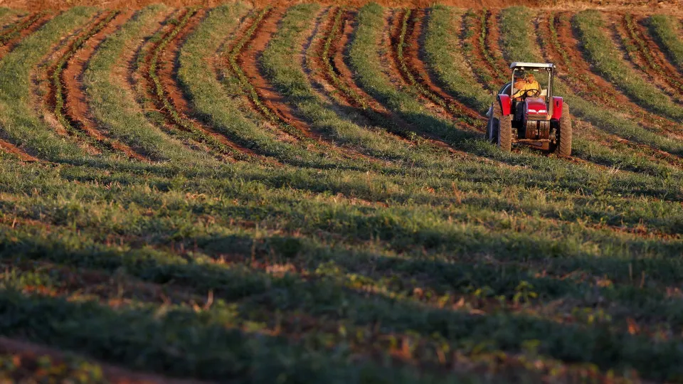 CAP resposta europeia à crise dos fertilizantes e combustíveis