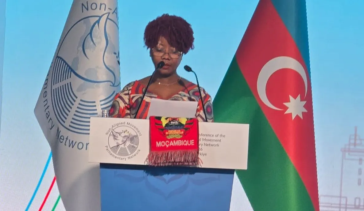Ivone Soares defendeu em Istambul criação de cidades resilientes