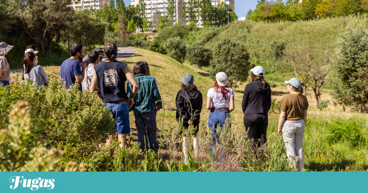 Lisboa de Jardins Abertos para cultivar o sentido de comunidade