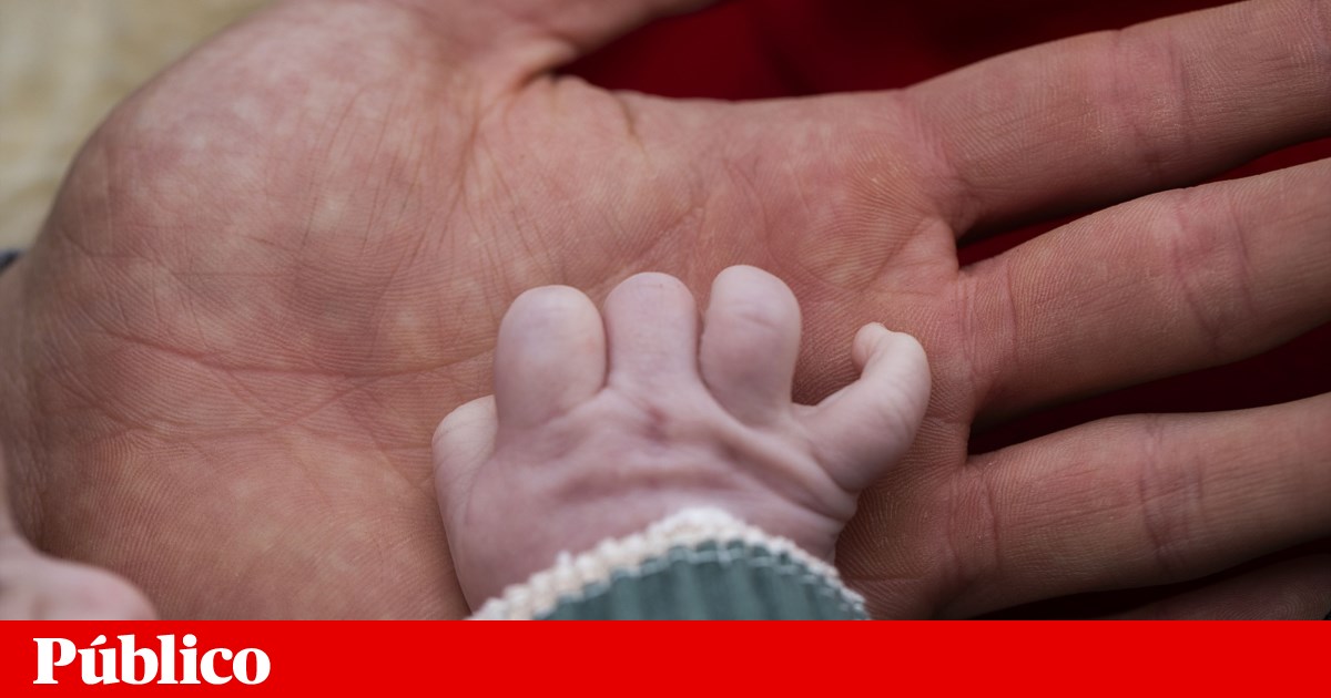 Prova na dispensa por amamentação terá de ser apresentada de seis em seis meses