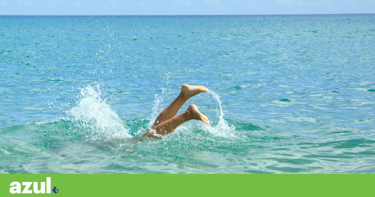 Procura uma praia “imaculada” em Portugal? Há menos opções este ano