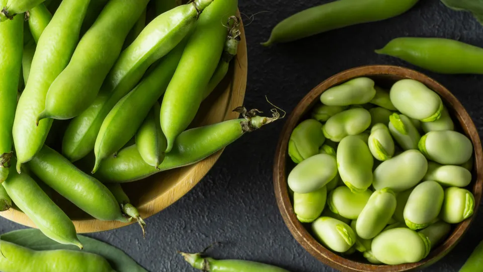 Como cozer favas na perfeição para ficarem macias