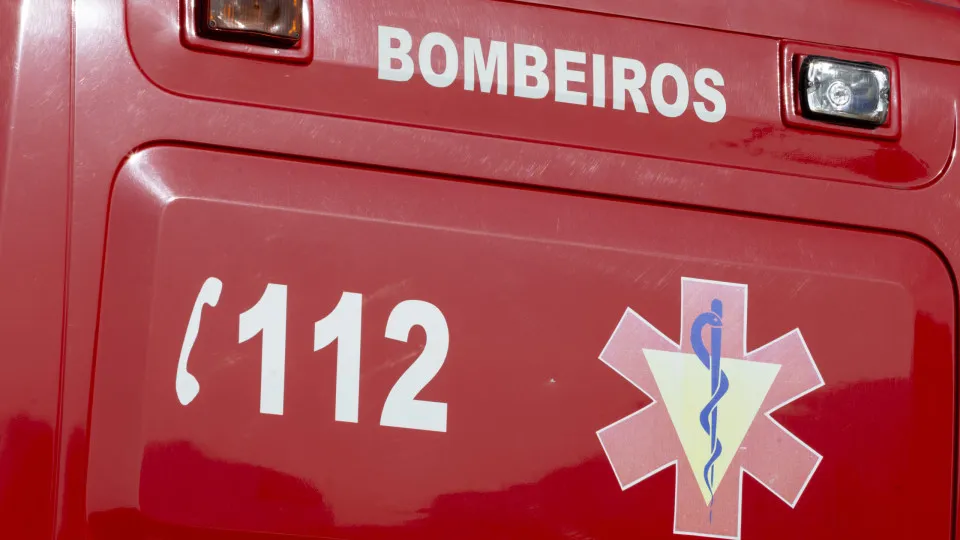Queda de árvore mata homem de 65 anos em Fafe