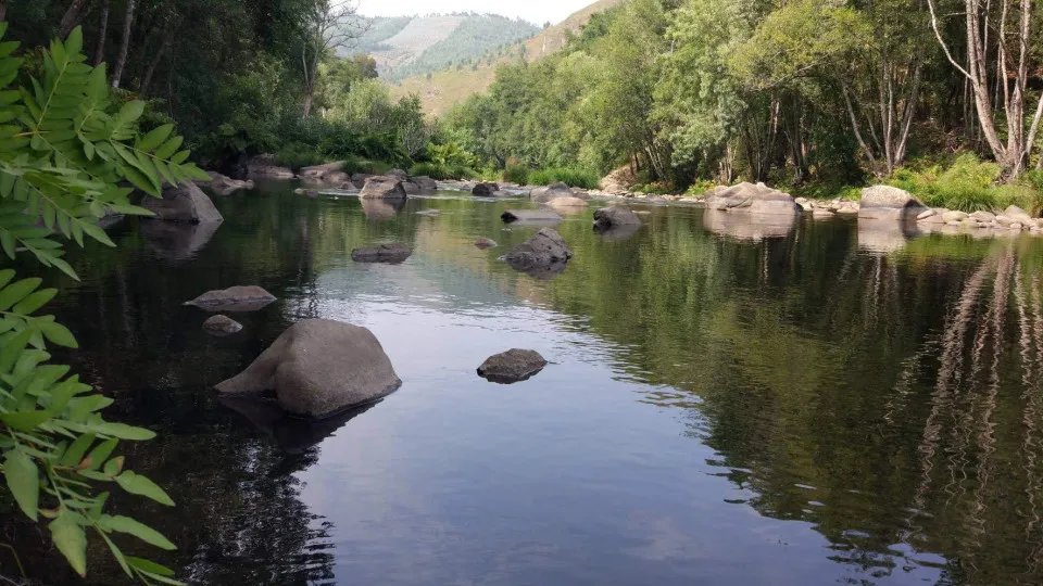 Encontrado sem vida homem desaparecido nas águas do rio Paiva em Arouca
