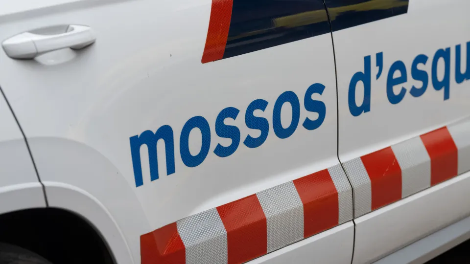 Espanha. Condenado a 12 anos de prisão por esquartejar colega de casa