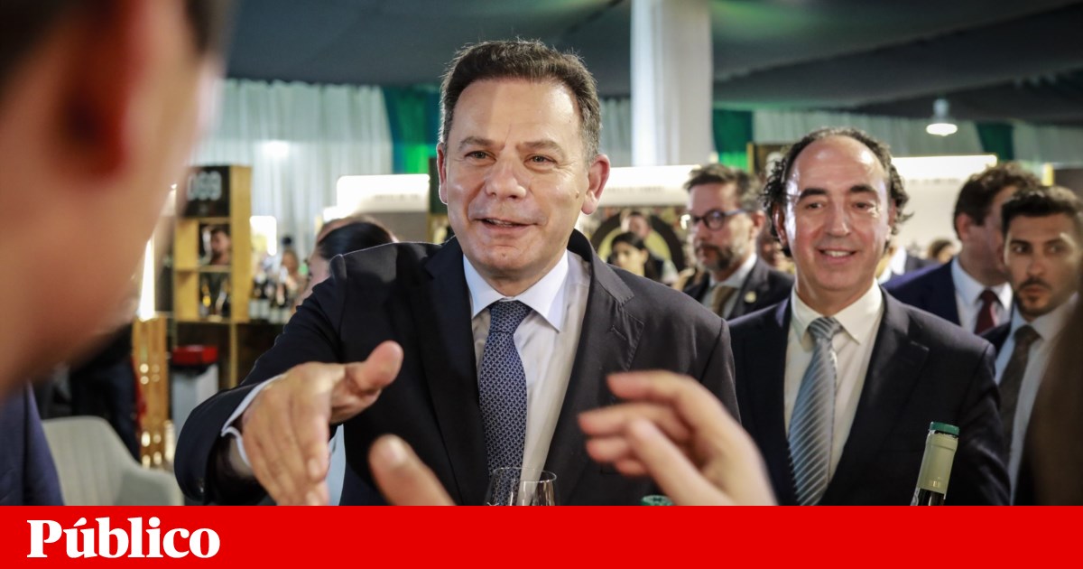 Montenegro diz que o povo está farto de eleições
