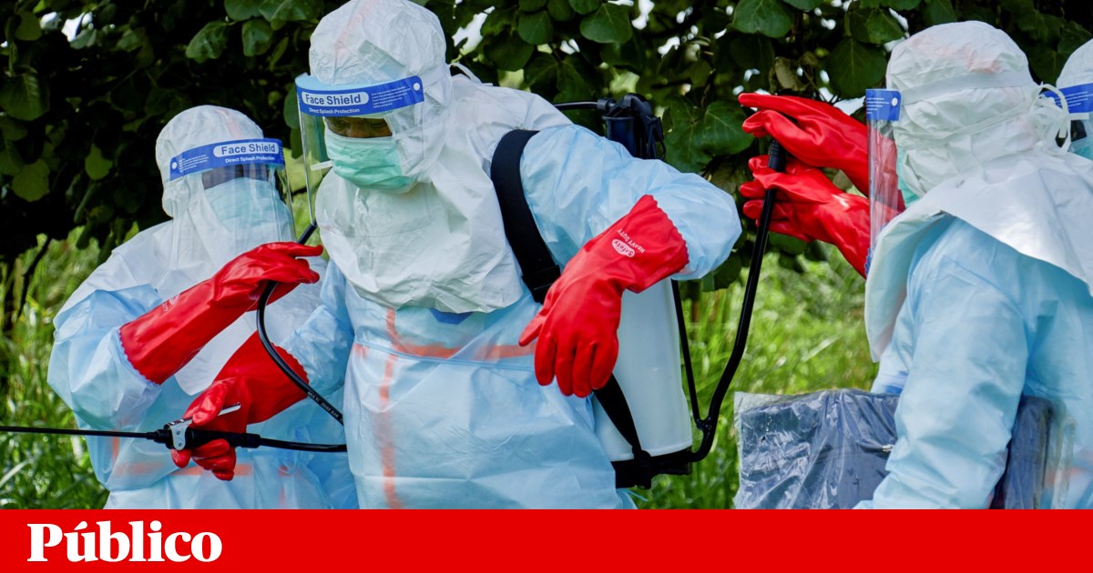 Ébola: as vacinas e tratamentos contra o Bundibugyo que estão em desenvolvimento