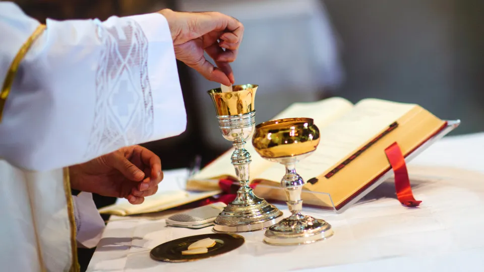 Vítimas de abusos sexuais pedem uma Igreja "mais escrutinável"