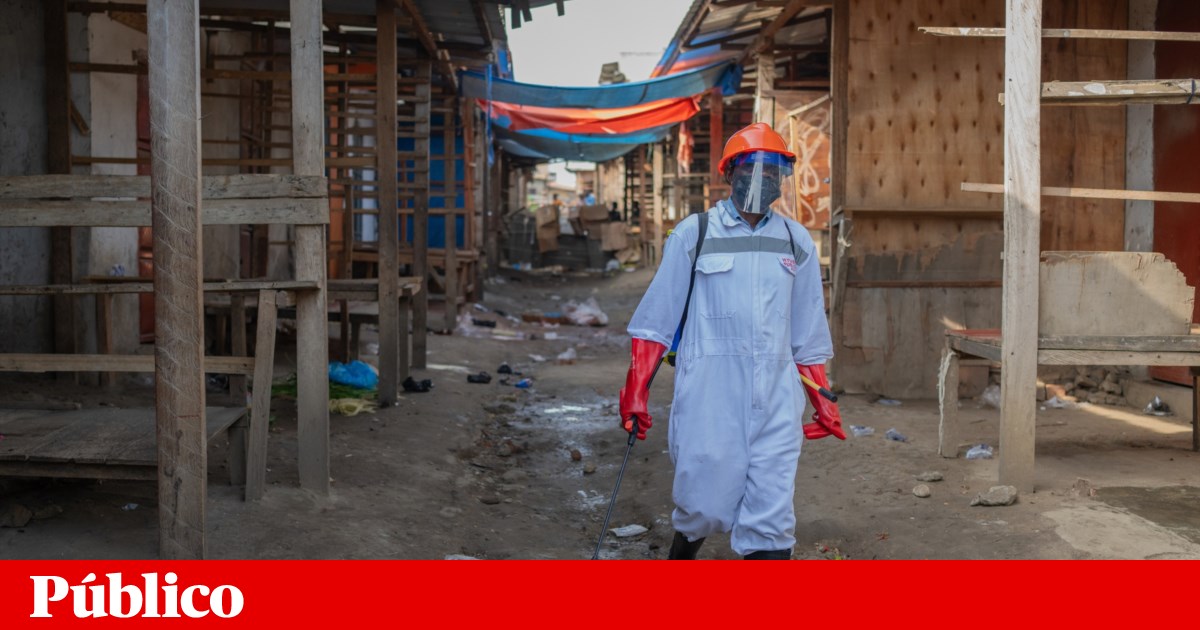 Ébola: voluntários morreram na R.D. Congo e Angola “em risco” de ser afectada