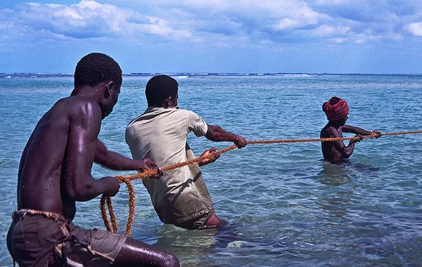 Pescadores denunciam impacto da exploração mineira na pesca na Zambézia