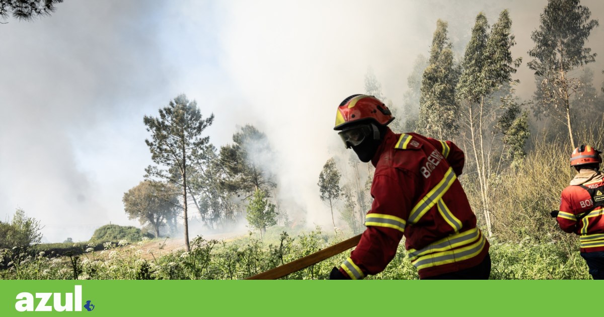 Em dia com 35 graus, sete concelhos de Faro em perigo máximo de incêndio