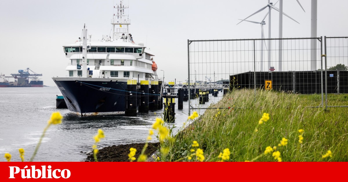Confirmado novo caso de hantavírus em Espanha