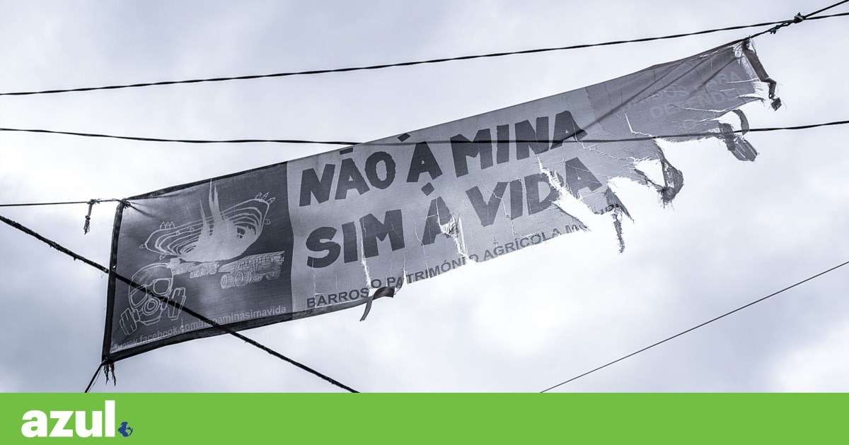 Lítio: Associação diz que desmatações violam DIA em Boticas. Savannah nega