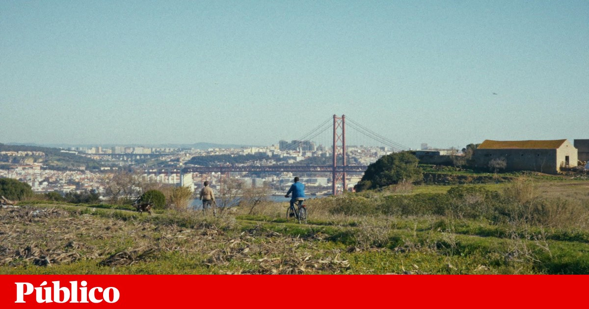 No Monte da Caparica, moradores fizeram um filme para mostrar a sua vida comunitária