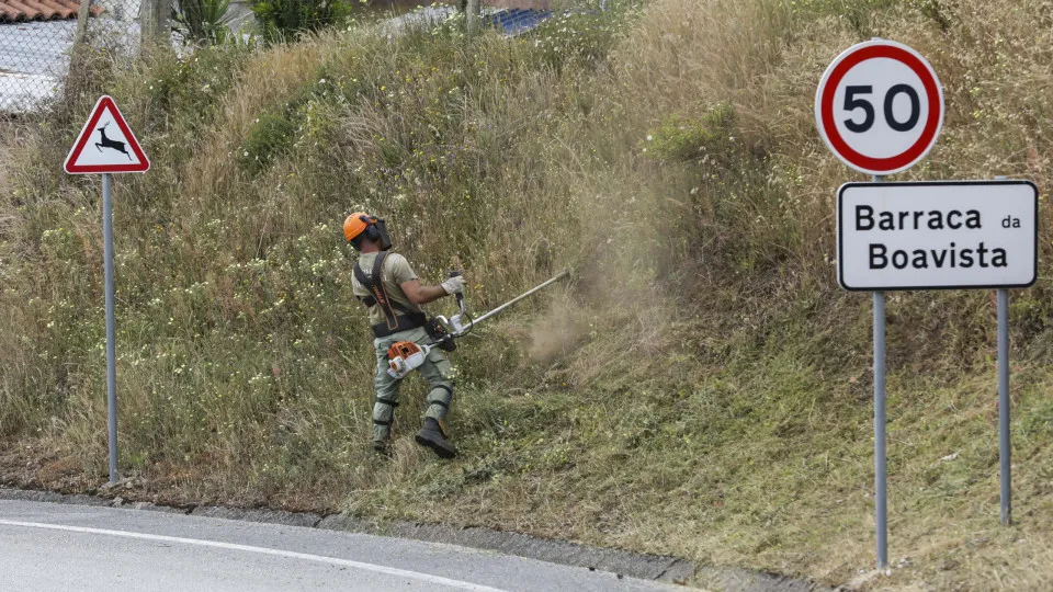 Prazo para limpeza de terrenos alargado até 30 de junho em todo o território