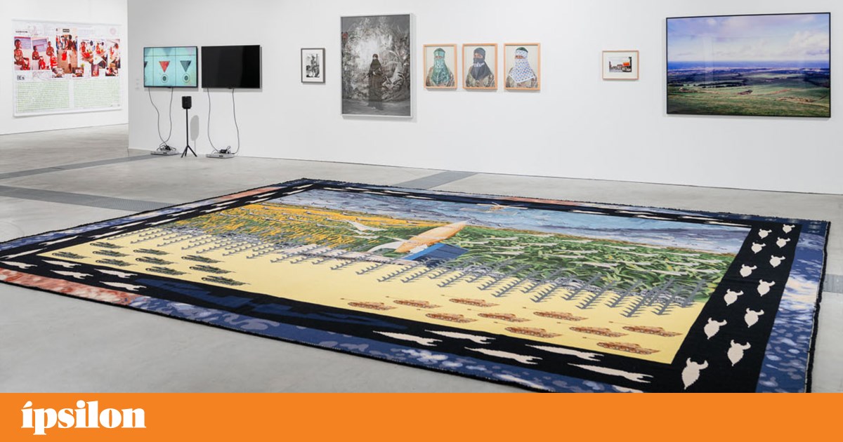 <em>Sem Terra à Vista</em>, uma exposição imensa em São João da Madeira