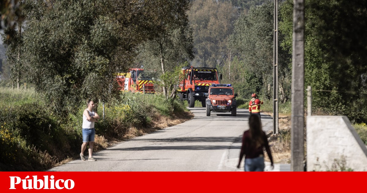 Dezenas de operacionais combatem chamas em Campeã, Vila Real