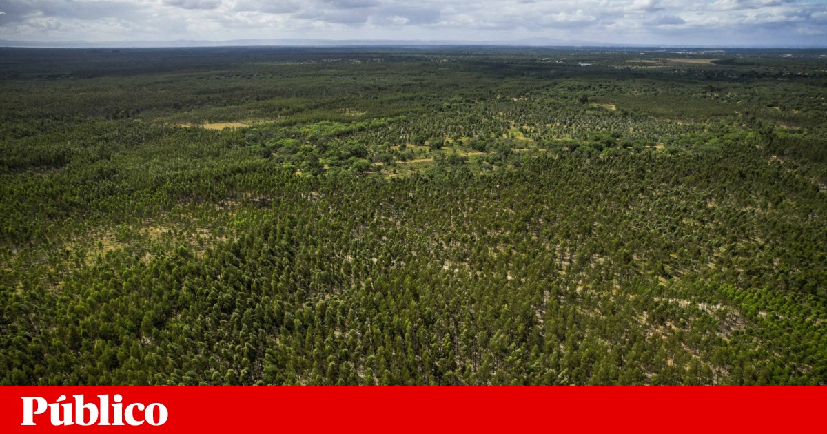 Governo dá passos para fazer novo aeroporto de Lisboa e desfazer-se de empresas