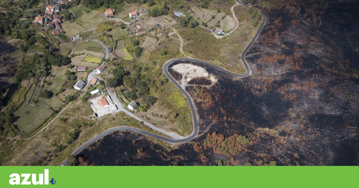 Estudo aponta Gerês-Xurés como um dos territórios mais promissores para criação de “Nova Floresta Primária”