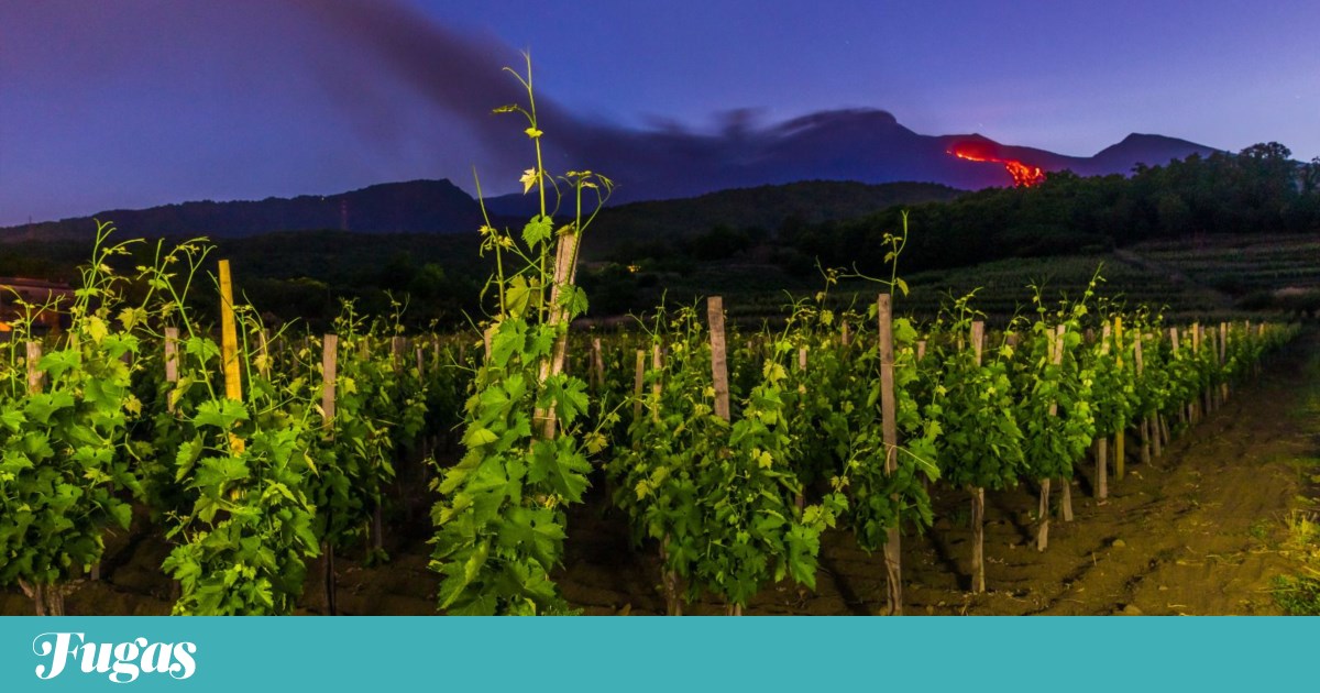 De Marsala ao Etna, a Sicília dentro de um copo de vinho