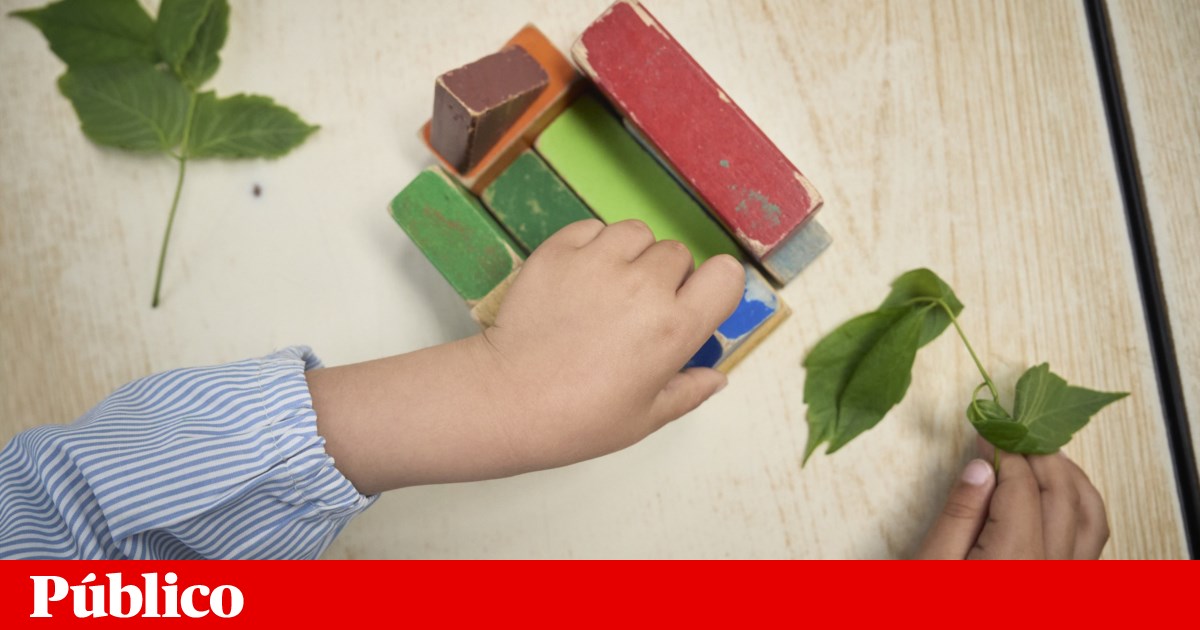 Aldeias Crianças SOS pedem mais acolhimento familiar e menos crianças em instituições