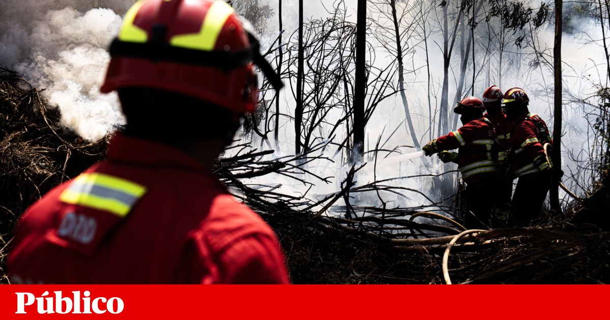 Investigadores alertam para riscos ocupacionais nos bombeiros portugueses