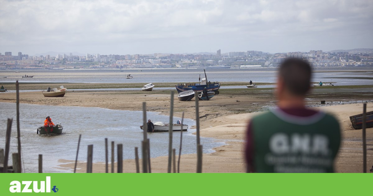 É apanhador de bivalves? A partir de agora está sujeito a novas regras