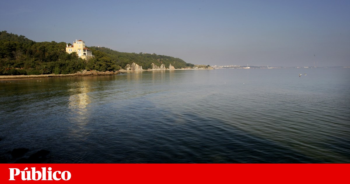 Herdade da Comenda diz-se dona de cinco praias na Arrábida e vai para tribunal