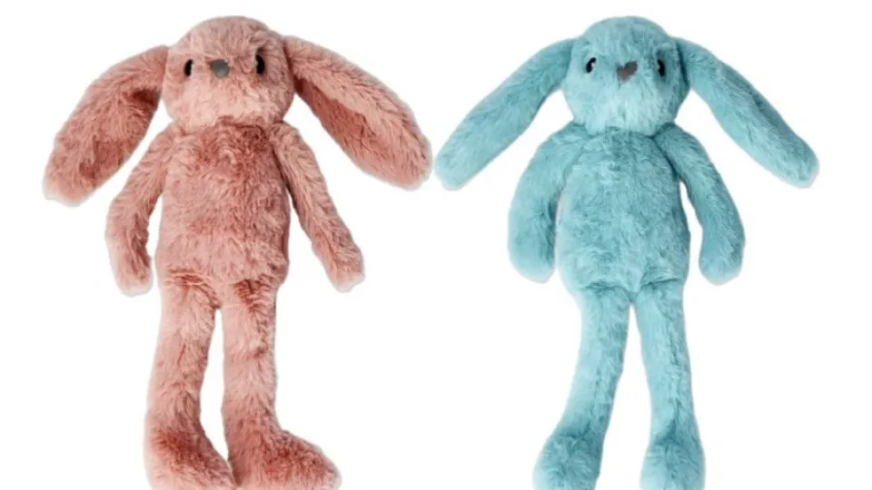 Tem este peluche? Atenção: Há risco de asfixia (ARAE determina recolha)