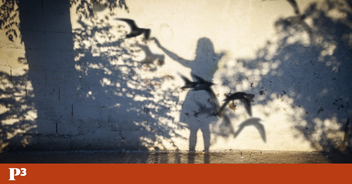 Somos a voz das crónicas diárias da Cláudia Lucas Chéu